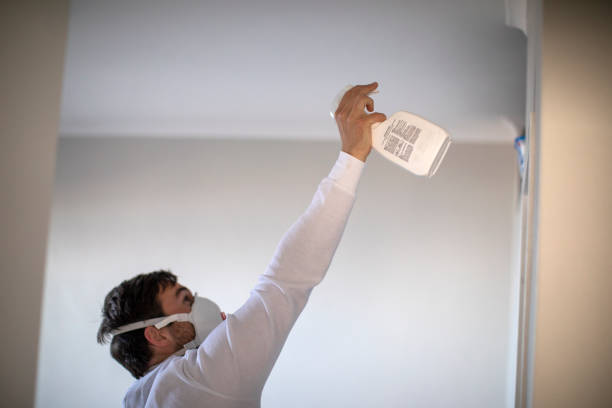Best Industrial Mold Remediation in Saratoga Springs, NY