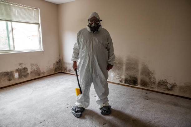 Best Post-Flood Mold Remediation in Saratoga Springs, NY